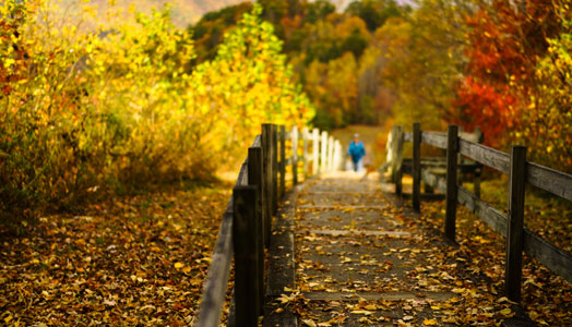 senior walking on bridge in autumn with leaves